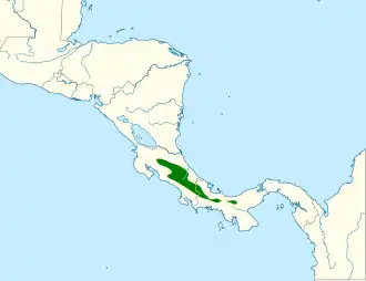 Tandsnavelbaardvogel