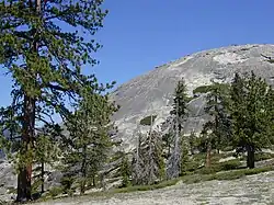 De Sentinal Dome vanaf een trail