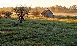 Het landschap bij Vilivalla