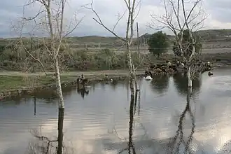 Nationaal park Sevan