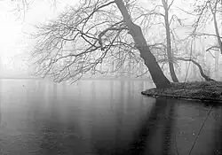 Sfeeropname Haagse Bos, 1918