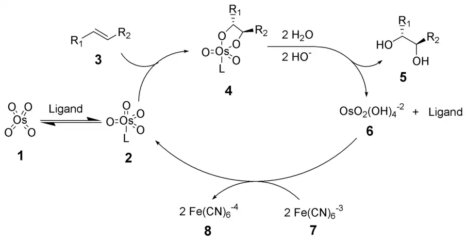 Reactiemechanisme van de Sharpless-dihydroxylering