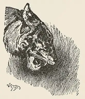 illustratie van Shere Khan in een nieuwe druk van Het jungleboek uit 1900.