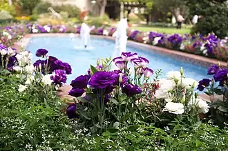 Bloemperken met in het midden een fontein.