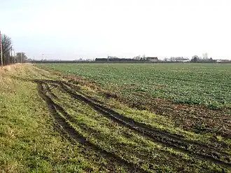 Zicht over de velden richting Shingay