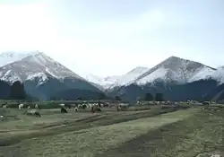 Surroundings of the Shirenzigou archaeological site in Barkol County