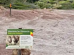 Habitat van de shoco