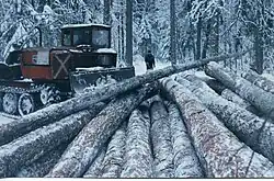 Lariksstammen in de sneeuw verzameld in december 1996