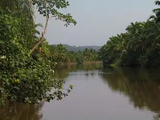 Nationaal park Siberut