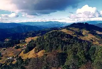 Westelijke Sierra Madre