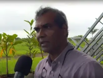 Sieuwnath Naipal in 2017