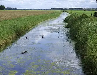 Sikkemaar bij Ellerhuizen naar het zuiden gezien
