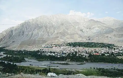 Kargil (stad)