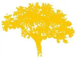 Universiteit del Norte