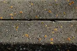 De sinaasappelkorst-associatie op een trottoirband