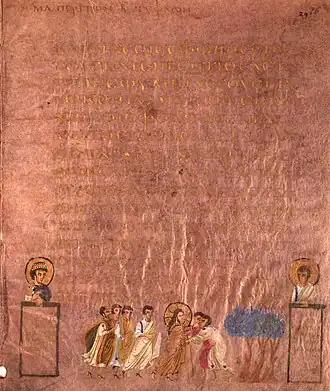 Codex Sinopensis