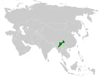 Bruinvleugeldiksnavelmees