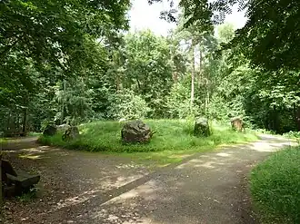 Grafheuvel Bergerbos