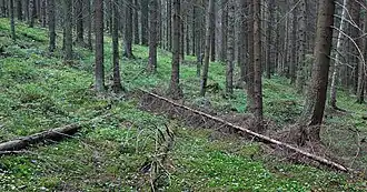 Nationaal park Sipoonkorpi