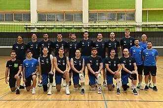 Sloveense volleybalploeg