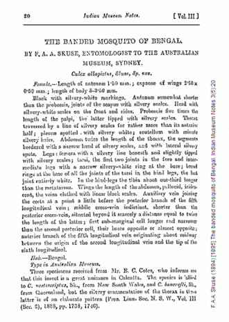 Skuses eerste beschrijving van de Aziatische tijgermug, toen nog Culex albopictus.