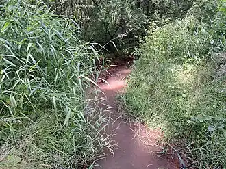 De Slangbeek op de grens van Hasselt en Zonhoven.