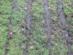 Spoortjes van drijfmest uitgespreid op gras