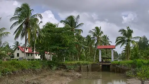 Sluis bij in cultuur gebracht land