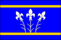 Vlag