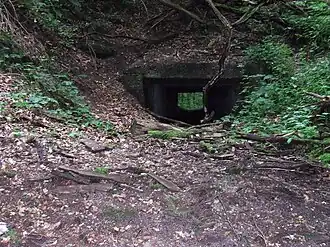 Tunnelingang (2014)