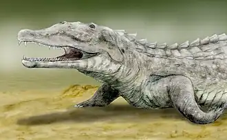 Smilosuchus