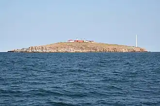 Insula Serpilor in 2014