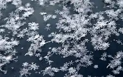 Sneeuwvlokken op een windscherm.