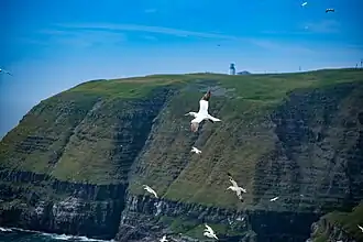 De ruim 100 meter hoge kliffen van de kaap met in de verte de vuurtoren
