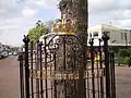 Hek rond de Wilhelminalinde