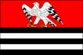 Vlag