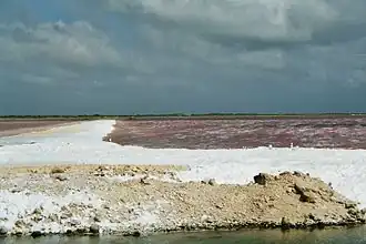 Zoutpan op Bonaire