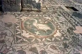 zwaan in mozaïekvloer te Soli