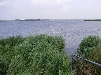 De Sondelerleien (2008)