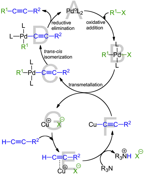Katalytische cycli in de Sonogashira-koppeling.
