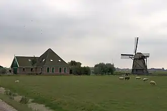 De molen in zijn omgeving