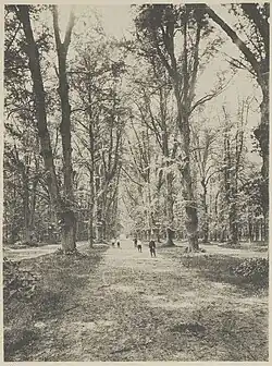 Spanjaardslaan, ziende naar het oosten omstreeks 1887