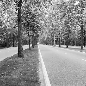 De Spanjaardslaan in juni 1979, gezien richting het westen