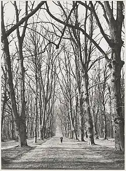 Spanjaardslaan ziende naar het westen. Op de achtergrond huize Eindenhout omstreeks 1900