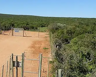 Afgerasterde kampeerplaats in het struikgewas van Addo