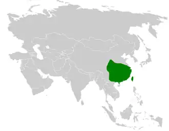 Gekraagde vinkbuulbuul