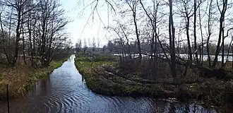 Slagenlandschap in Westelijke Langstraat