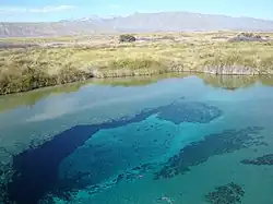 Poza Azul, een van de vele bronnen in Cuatro Ciénegas Basin in centraal Coahuila de Zaragoza, Mexico (2009).