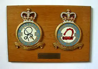 161 Squadron badge (aan de rechterkant)
