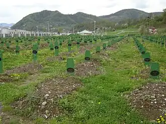 Gedenkplaats aan de massamoord in Srebrenica.